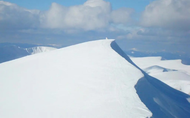 Hotel Forward Pool&Sauna