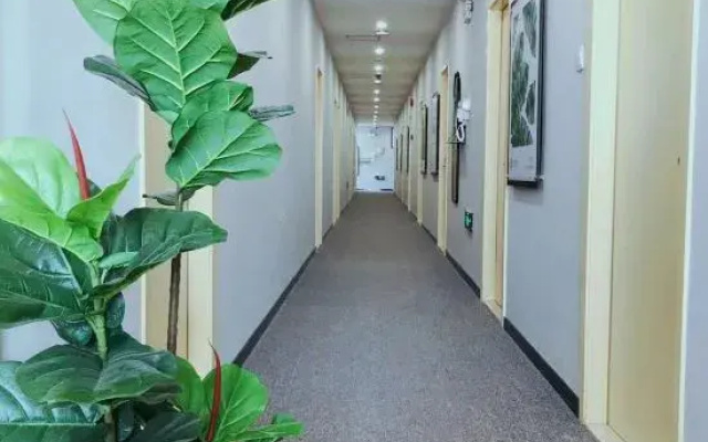 Fengle Hostel