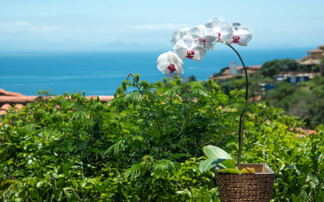 La Pedrera Small Hotel & Spa
