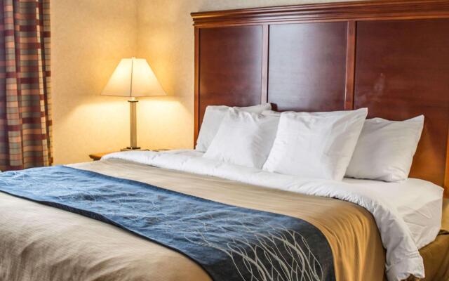 Comfort Inn & Suites Kent