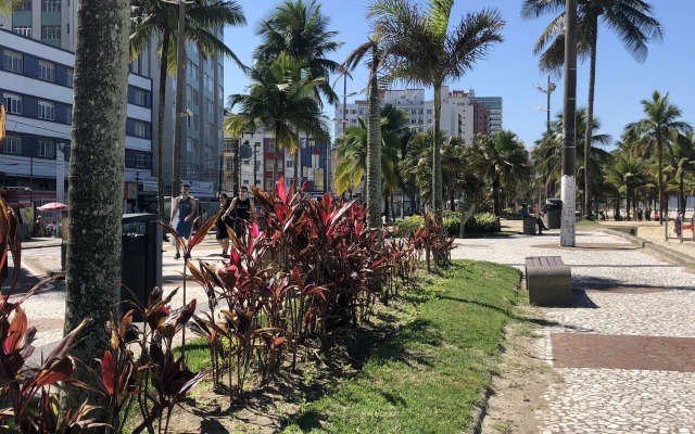 Temporada Praia Grande OCIAN