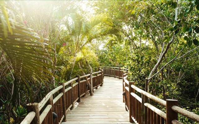 Vida Maya by Dicasi RM