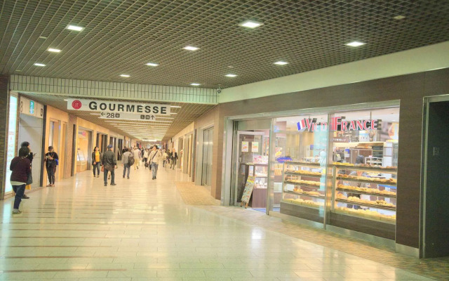 Kawasaki Station INN