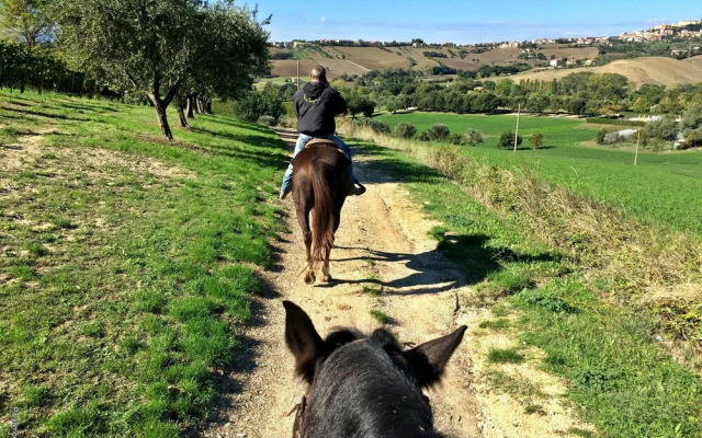 Agriturismo le Capannacce