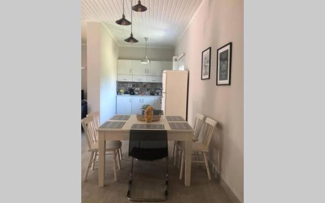 Lefko’s house- Contemporary, fully renovated house