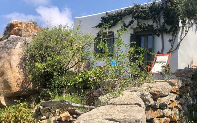 Under the Linden Tree Tinos