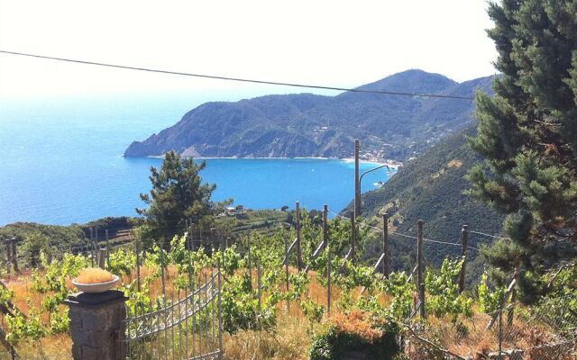 Villa Cinque Terre