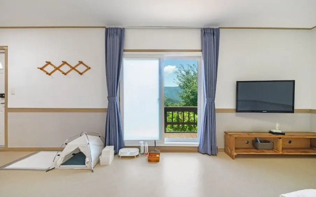 Gapyeong sky pet Family Dogchae Pension