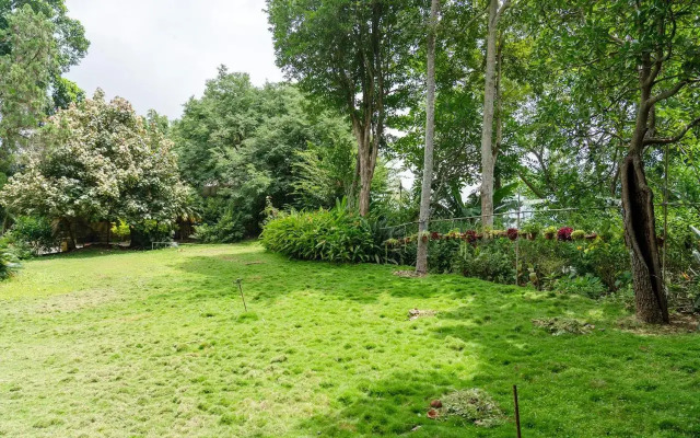 The Glazebrooke Bungalow
