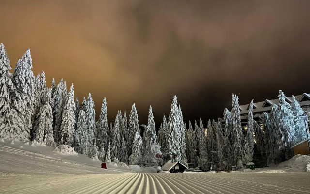 "Apartman Snow Idyll" Brzeće Center Apartments