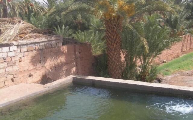 Camping Les Palmeraies
