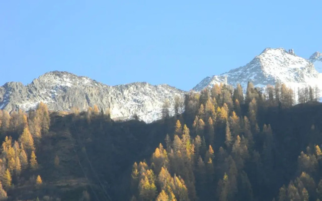 Appartement Cosy Proche Des Grands Montets