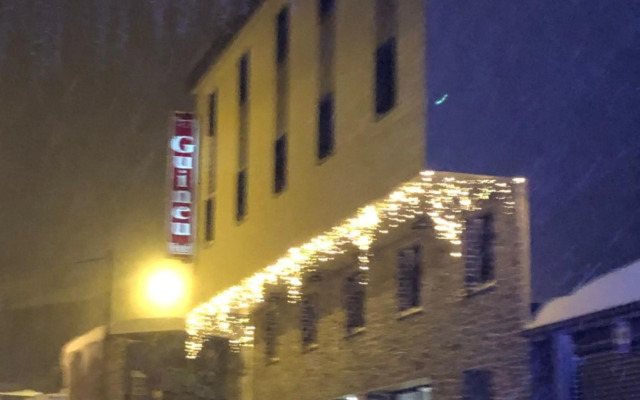 Hotel Guineu