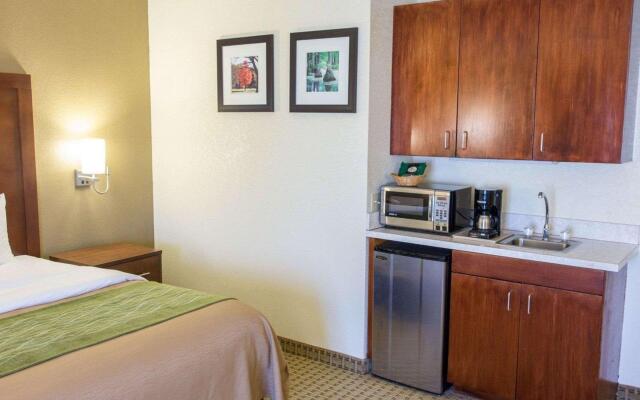 Comfort Inn Hammond