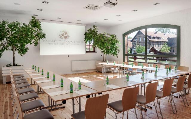 Pałac Ciekocinko Hotel Resort & Wellness