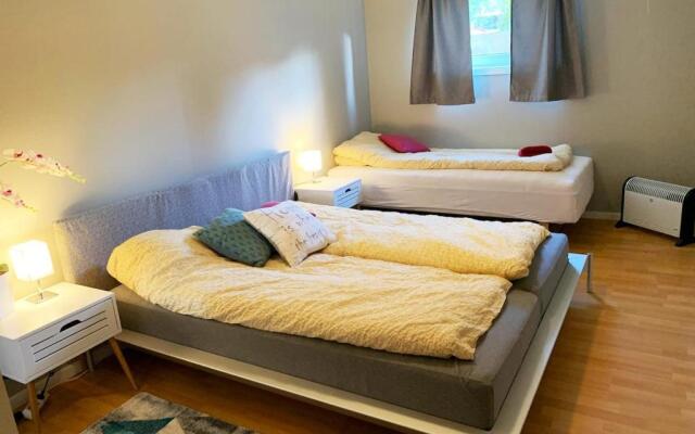 Newly renovated basement apartment