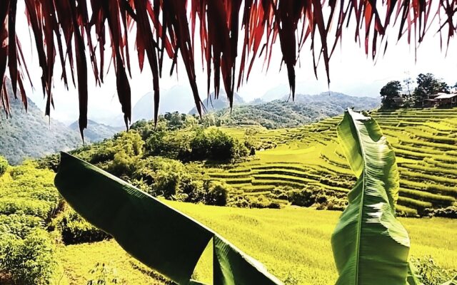 Resort Pù luông Boutique Garden