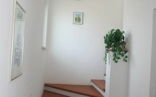 B&B La Collina Degli Ulivi