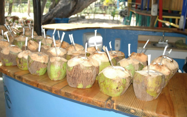 Paradise Island Beach Resort