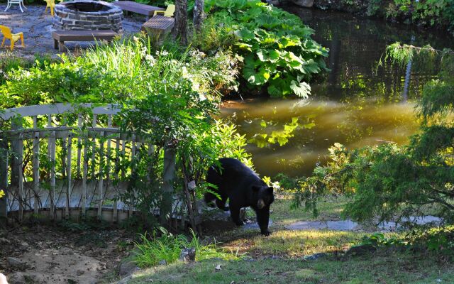 Nordic Village Resort