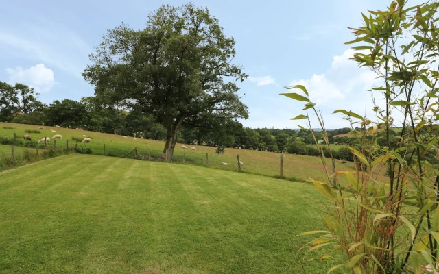 Pheasant Wood