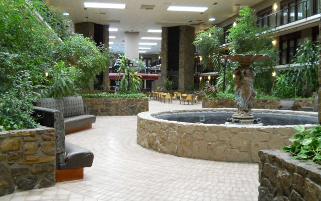 The Cactus Cove Inn and Suites