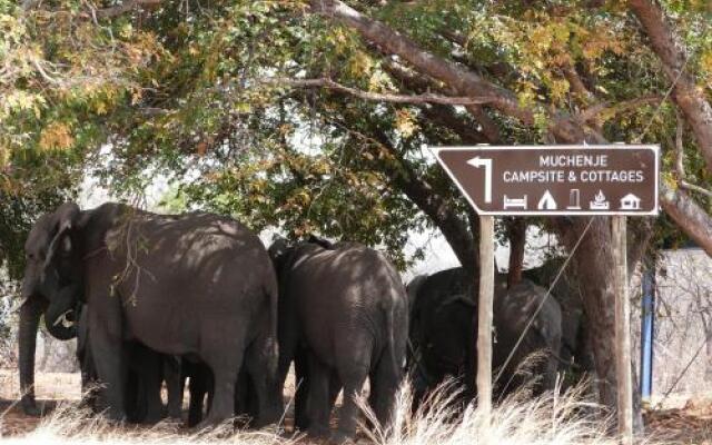 Muchenje Campsite  Cottages