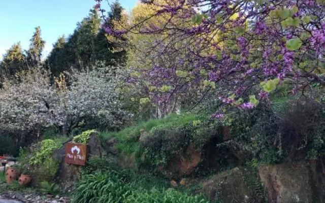 Mar Y Mar Apartamentos