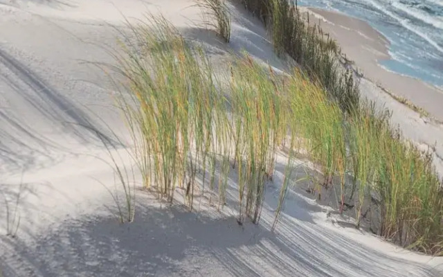 Studio Kołobrzeg Młyńska by Renters