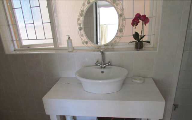 Watching Waves Heron Chase