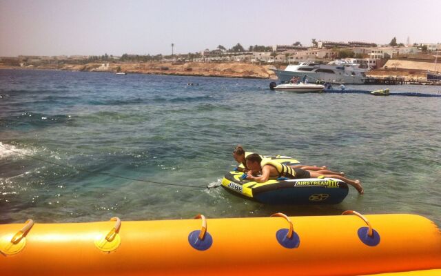 Shark Bay Oasis