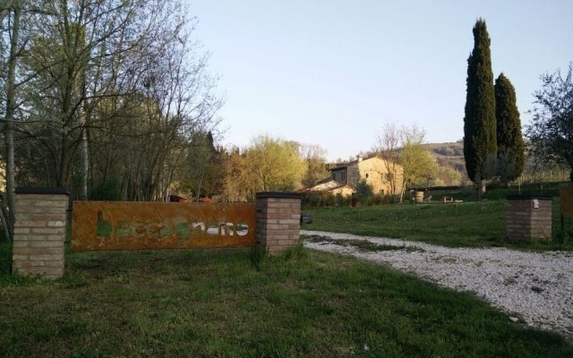 Azienda Agricola Baccagnano