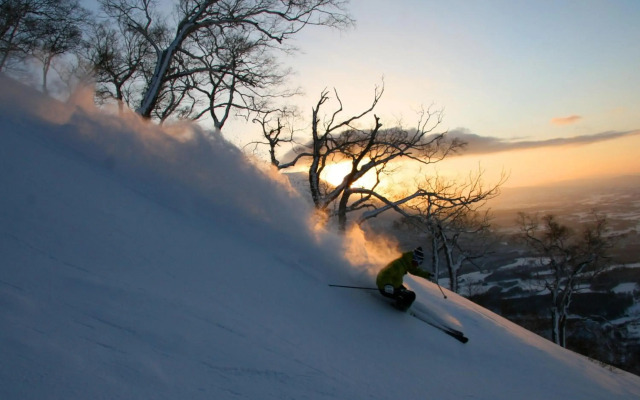 The Green Leaf Niseko Village