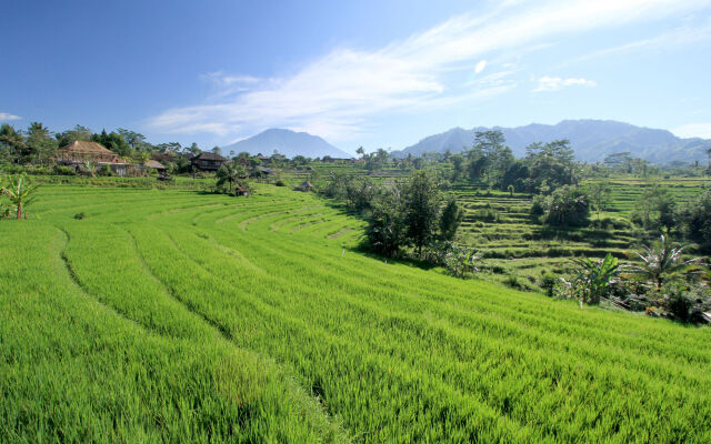 Sawah Indah Villa