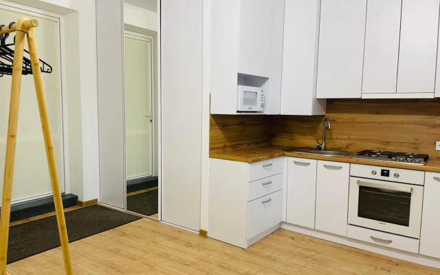 Куліша 9, центр, апартаменти біля оперного