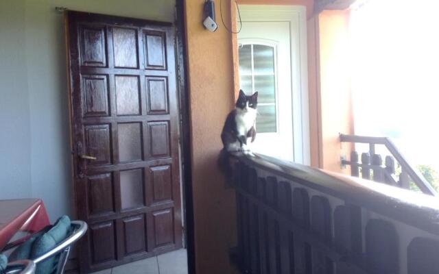 Studio apartman Šafarić