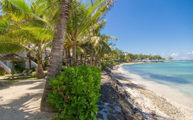 Tropical Attitude - Adults only