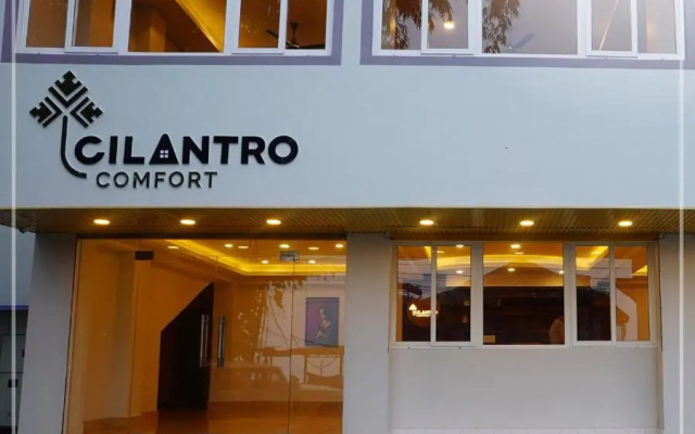 Cilantro Comfort