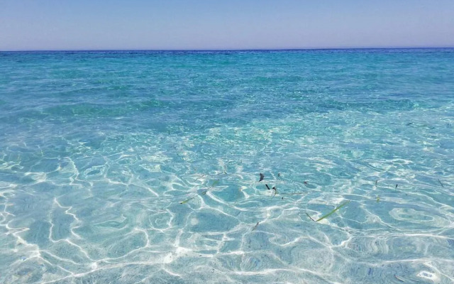 L'araucaria Guest House