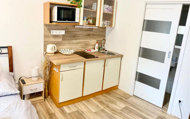 Private apartment - Park Olomouc - super lokalita