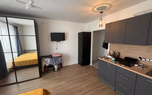 Апартаменты студия на улице Академика Павлова 56к1