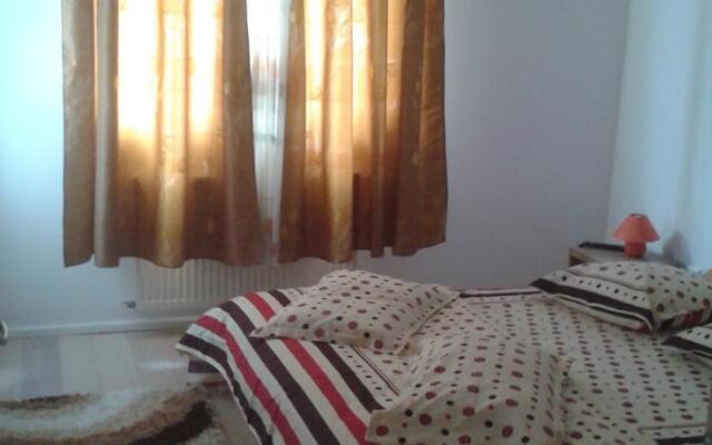 Apartament Silvana Brasov