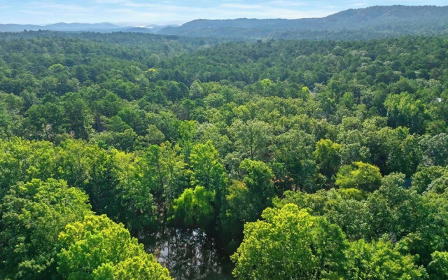 Sunset Ridge Cozy Cabin for 6