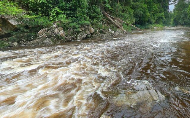 Mutiara Taman Negara