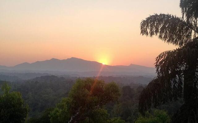 Forestdale Coorg