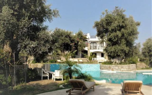 Amore Boutique Hotel