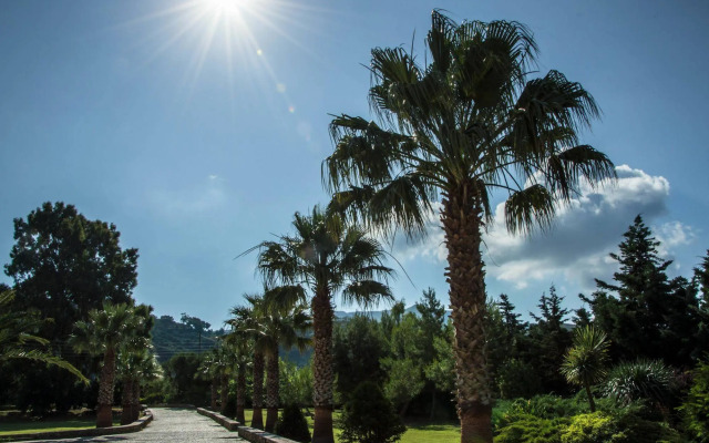 Leone Luxury Villas