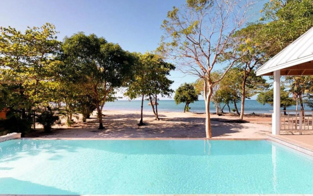 Laru Beya Palmetto Bay
