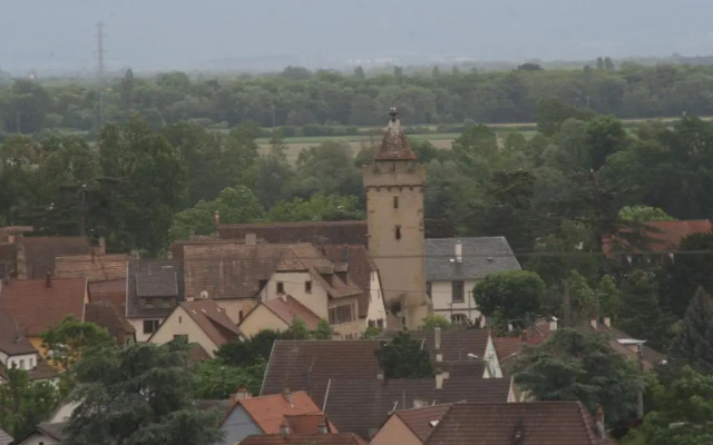 Gite duplex du vignoble Alsace