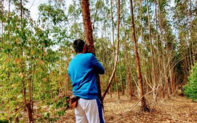 Hostal El Marquez Pavas